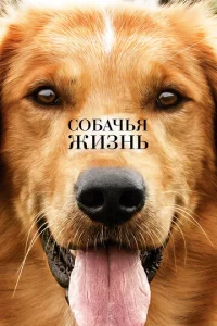 C010c9ojkկbᴙ жuʒkvjb